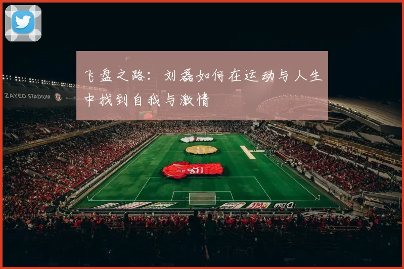 飞盘之路：刘磊如何在运动与人生中找到自我与激情