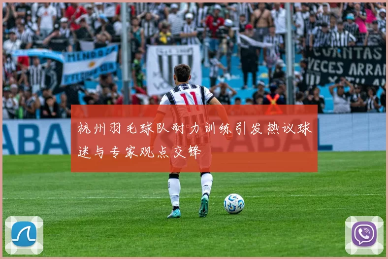 杭州羽毛球队耐力训练引发热议球迷与专家观点交锋