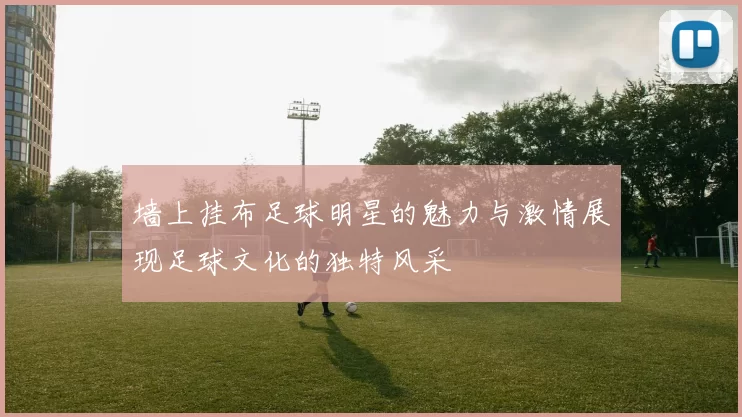 墙上挂布足球明星的魅力与激情展现足球文化的独特风采
