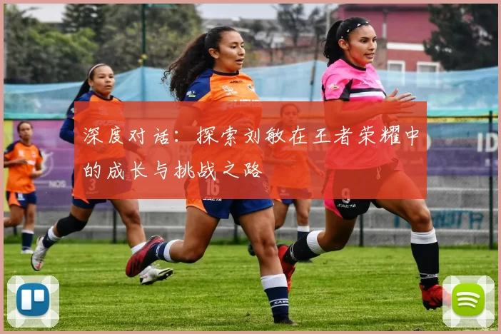 深度对话：探索刘敏在王者荣耀中的成长与挑战之路