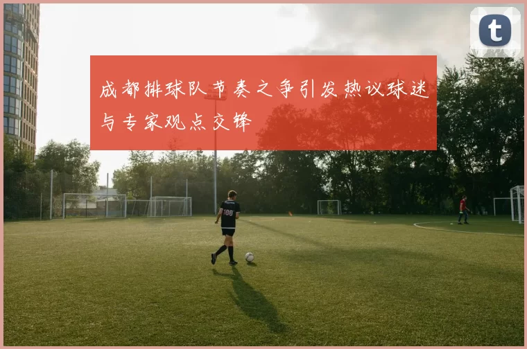 成都排球队节奏之争引发热议球迷与专家观点交锋