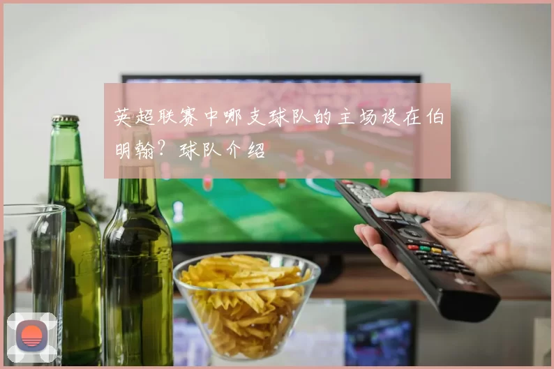 英超联赛中哪支球队的主场设在伯明翰？球队介绍