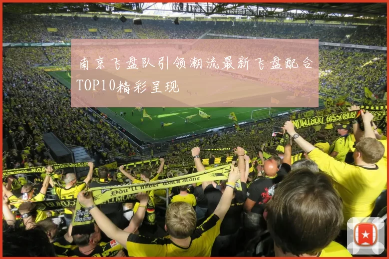 南京飞盘队引领潮流最新飞盘配合TOP10精彩呈现