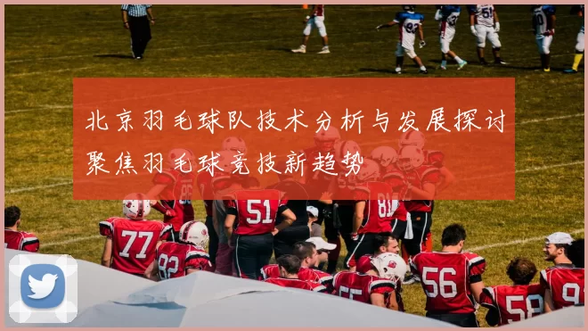 北京羽毛球队技术分析与发展探讨聚焦羽毛球竞技新趋势