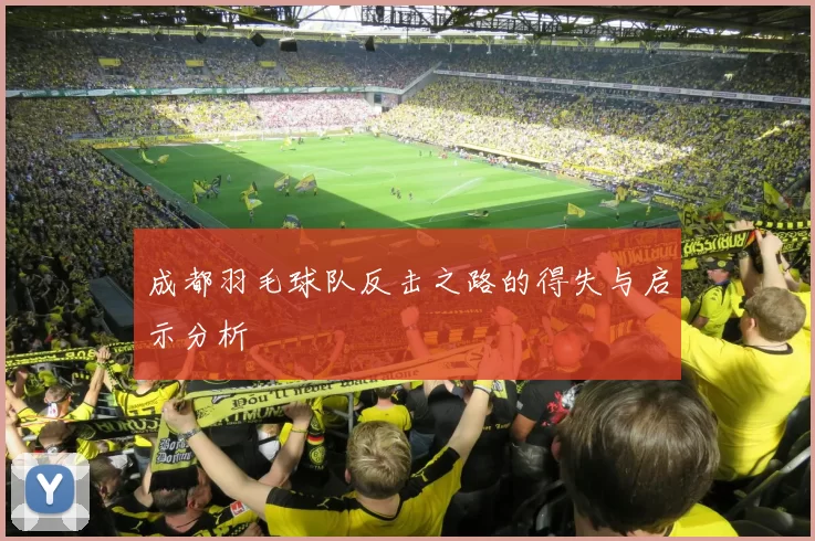 成都羽毛球队反击之路的得失与启示分析