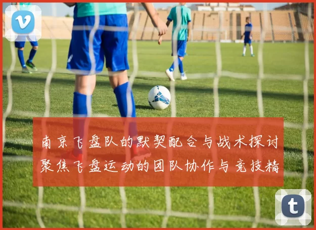 南京飞盘队的默契配合与战术探讨聚焦飞盘运动的团队协作与竞技精神