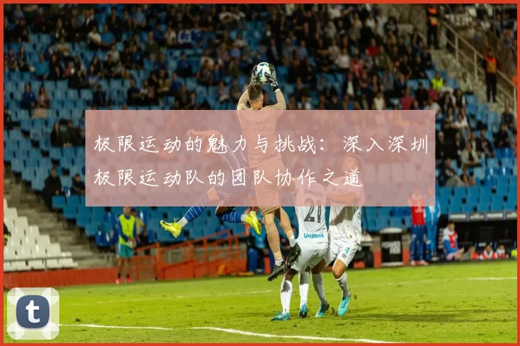 极限运动的魅力与挑战：深入深圳极限运动队的团队协作之道