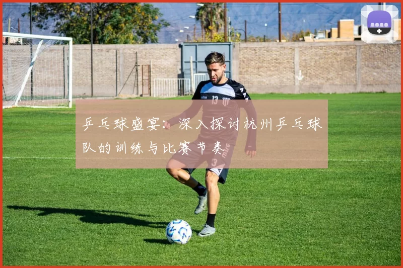 乒乓球盛宴：深入探讨杭州乒乓球队的训练与比赛节奏