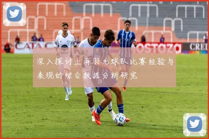 深入探讨上海羽毛球队比赛经验与表现的综合数据分析研究