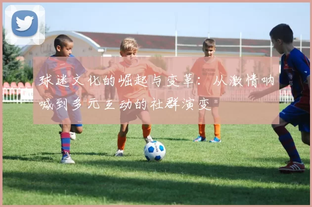 球迷文化的崛起与变革：从激情呐喊到多元互动的社群演变
