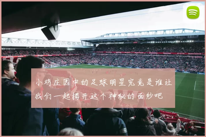 小鸡庄园中的足球明星究竟是谁让我们一起揭开这个神秘的面纱吧