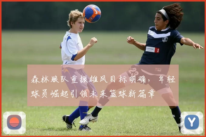 森林狼队重振雄风目标明确，年轻球员崛起引领未来篮球新篇章
