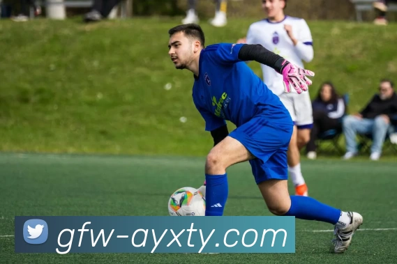 爱游戏网页版APP 高清赛事图